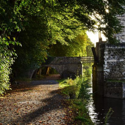 pexels-axp-photography-19136588